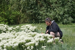  Fauna and flora Cergy Pontoise base. 
